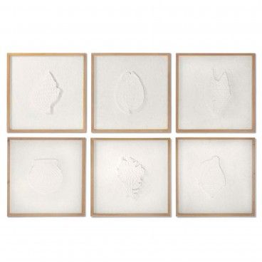 Quadro Conchas Sortido 6 Modelos Quadro Conchas Sortido 6 Modelos