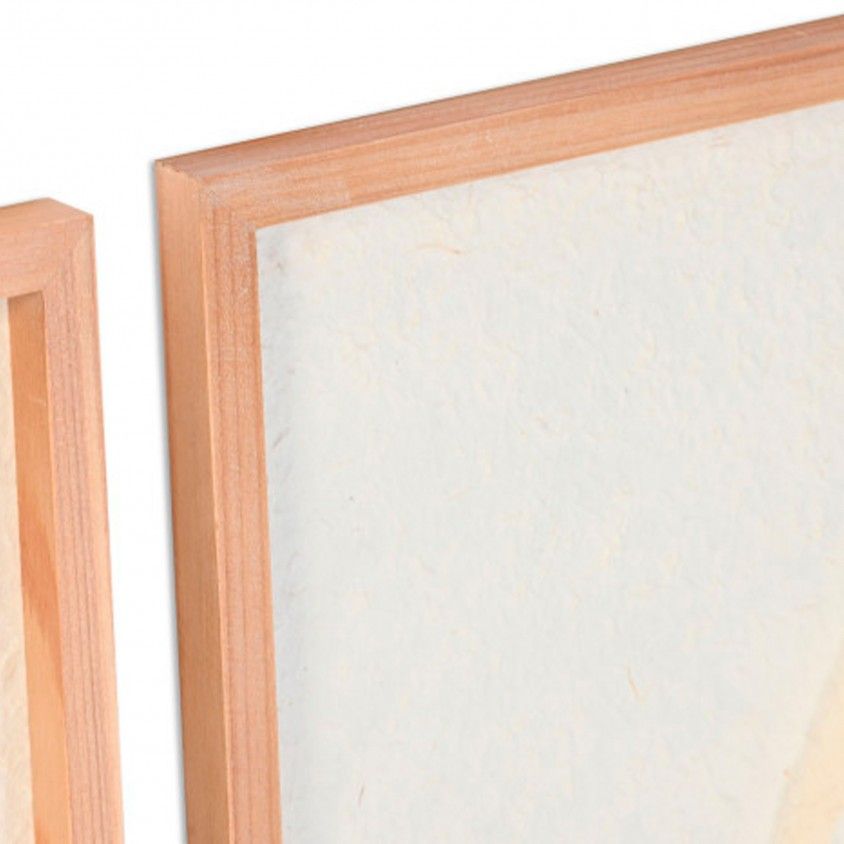 Quadro Conchas Sortido 6 Modelos