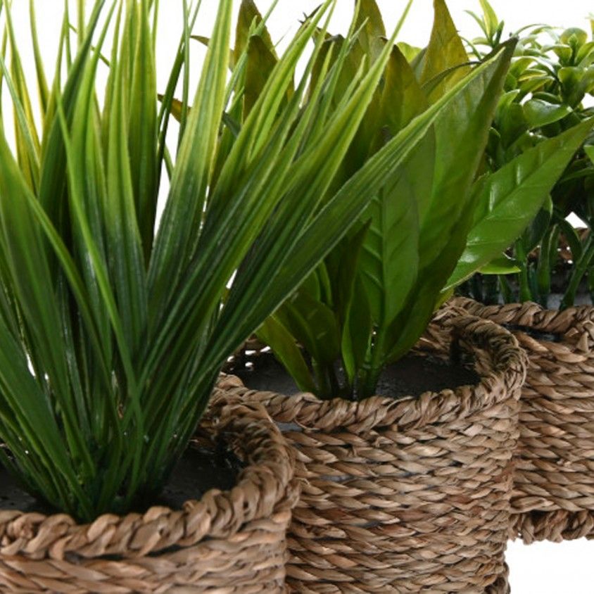 Planta Artificial 12x12x18 Sortido 3 Modelos