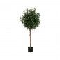 rvore Artificial Oliveira 60x60x120