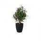 Planta ArtificialOliveira 45x45x68