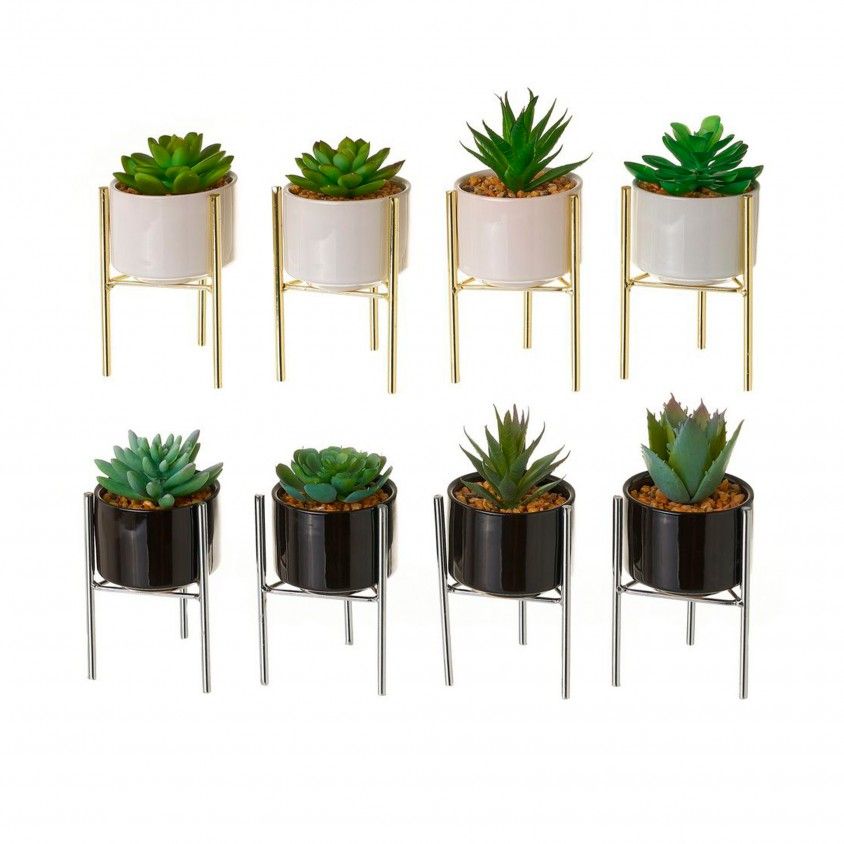 Cacto com Vaso Pp-Pe 8x8x18cm Sortido Cacto com Vaso Pp-Pe 8x8x18cm Sortido