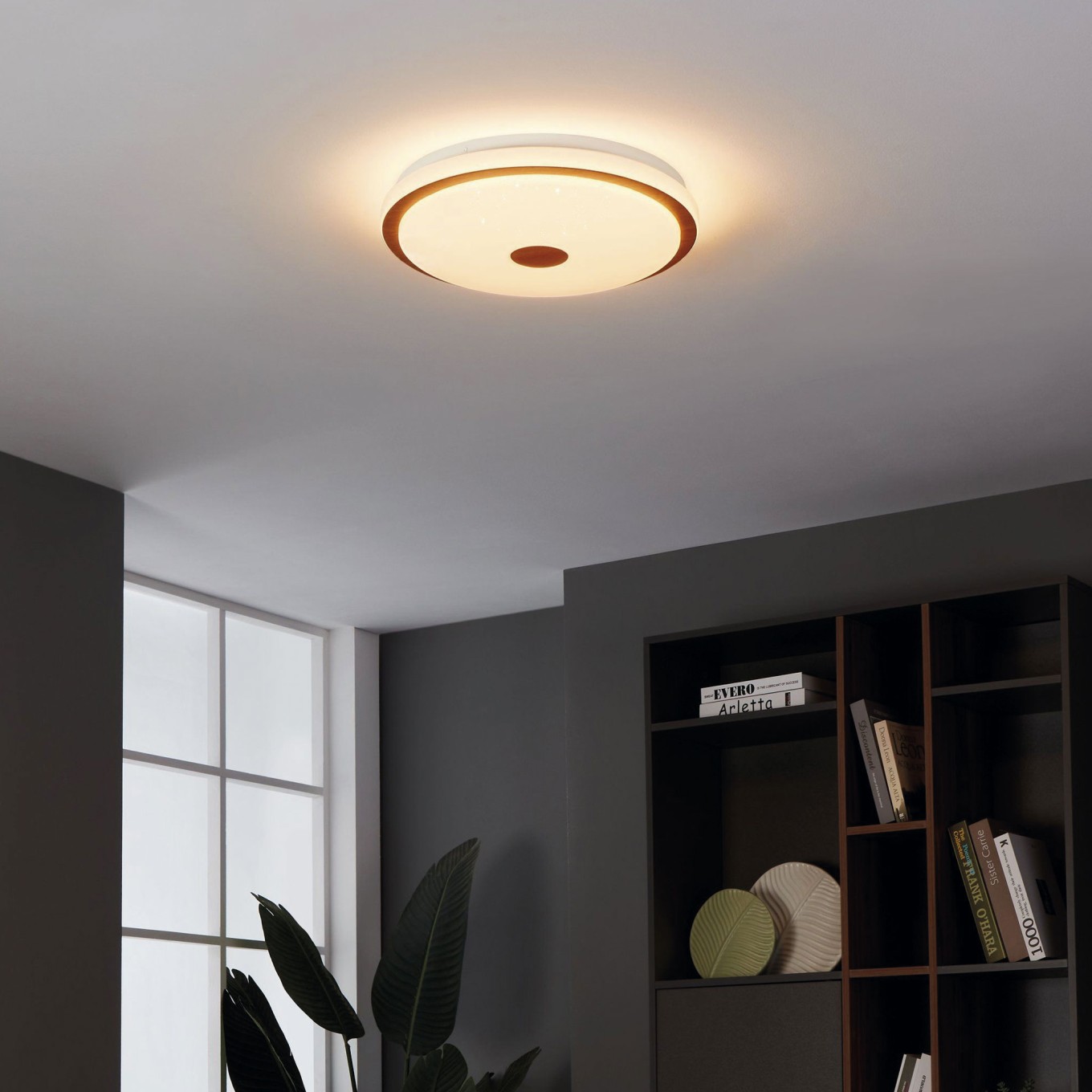 Plafon de Teto LED Redondo �480 Eglo Lanciano 1