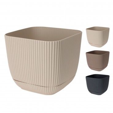 KOOPMAN VASO QUADRADO 11x11x9.5CM SORT 3 CORES