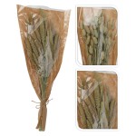 Bouquet Flores/Ervas Secas 60cm Sortido 4 Cores