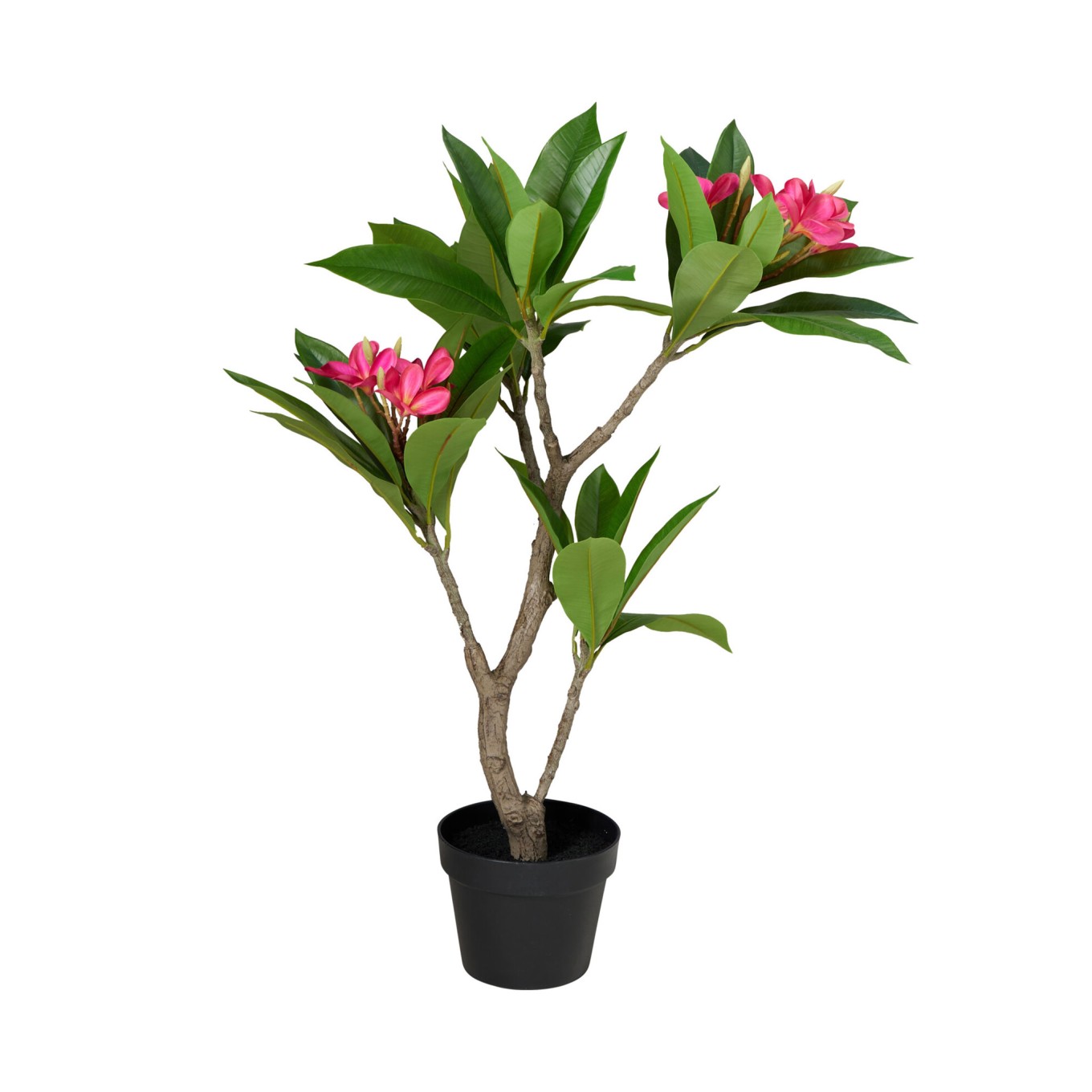 Planta Artificial Frangipani com Vaso 50x90cm