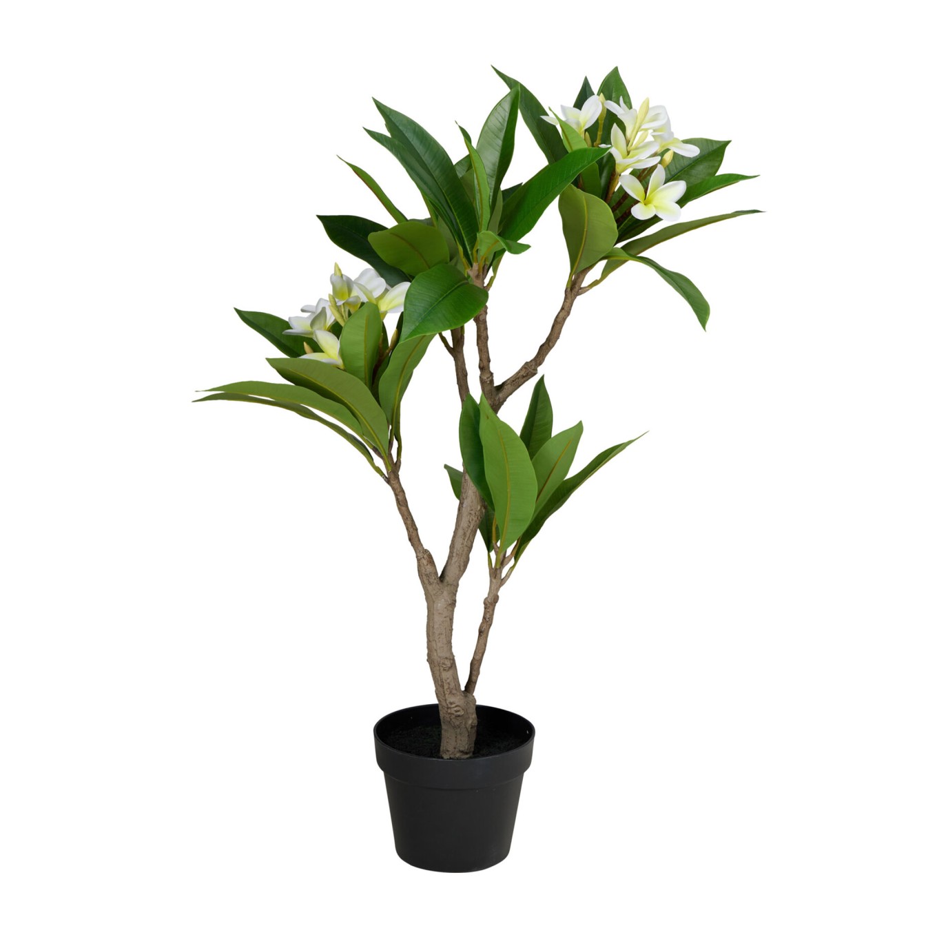 Planta Artificial Frangipani com Vaso 50x90cm