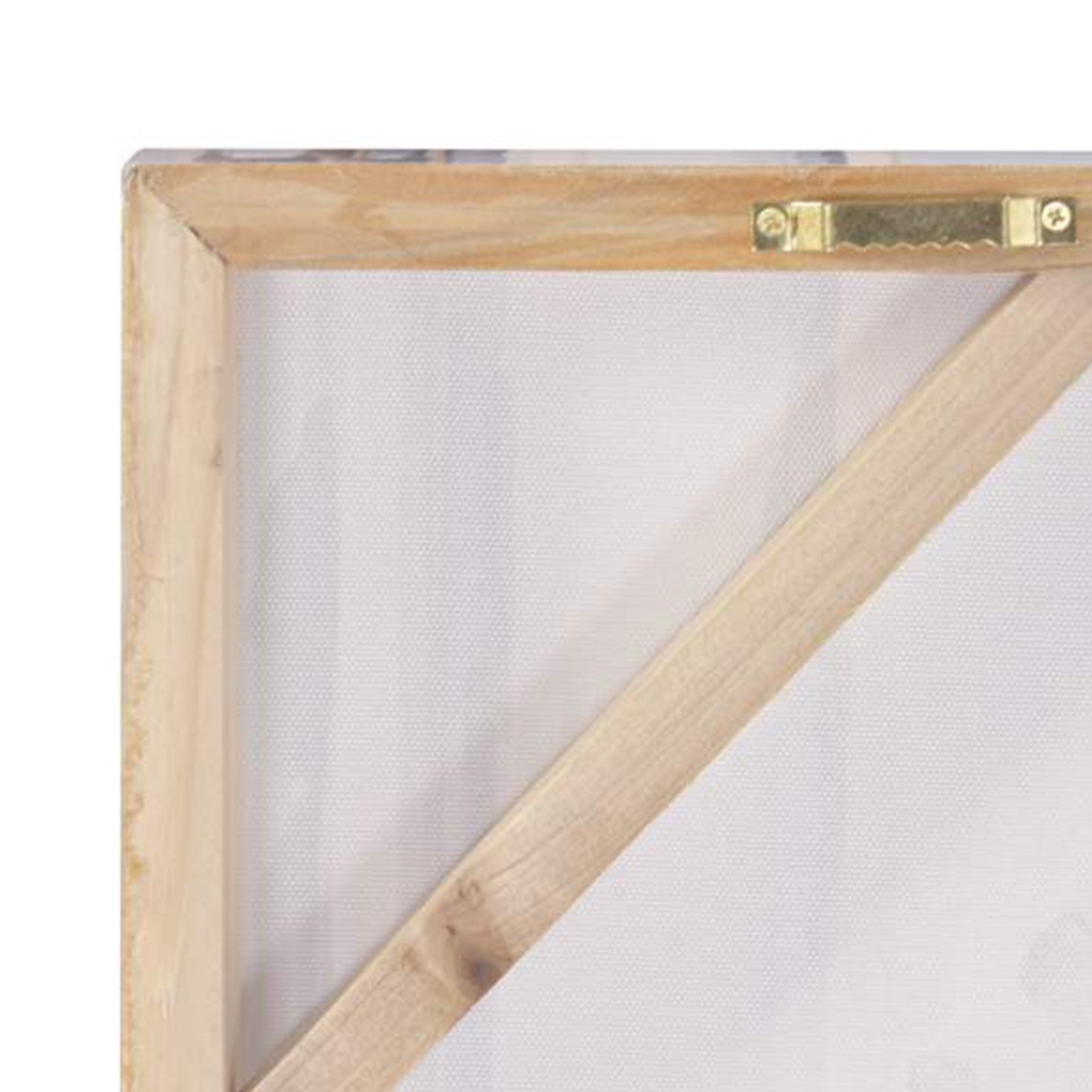 Quadro Lim�es 2 Modelos Sortidos 100x70cm