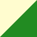 BEGE//VERDE BEGE//VERDE
