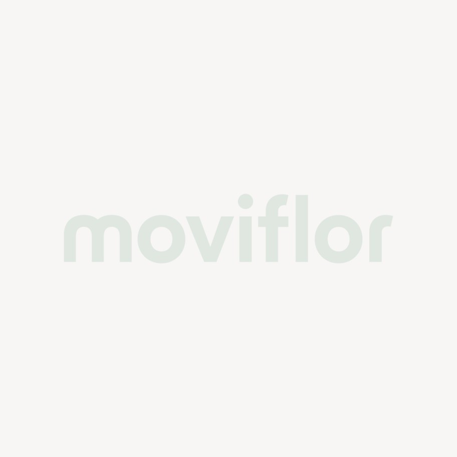 Organizador Roupeiro C/ 6 Compartimentos Br